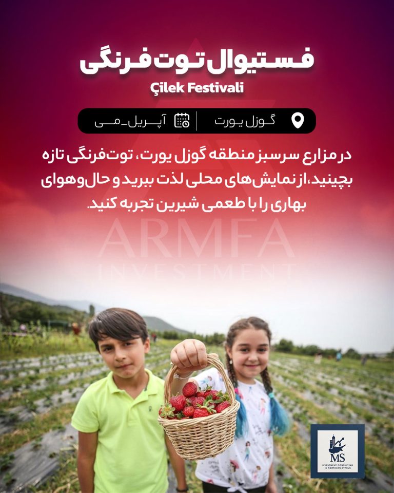 فستیوال توت فرنگی قبرس شمالی